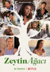Zeytin Ağacı
